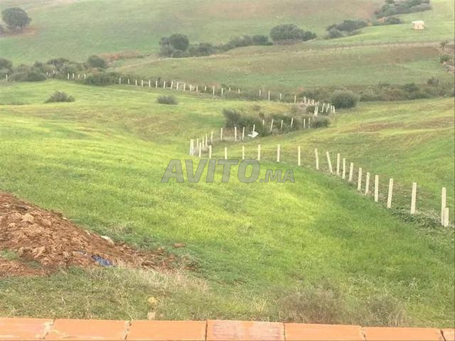 🌿 Terrain à vendre entre Tanger et Tétouan
