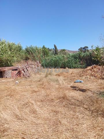 Tétouan / Région Azla - 2