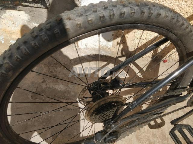VTT Marlin 5 - 2