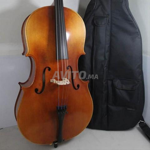 Violoncelle/violoncelle