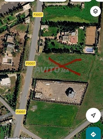 Bel terrain pour construire villa 5000m² - 2