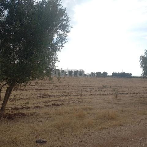 1 hectare et plus ... 3 min de Marjane sur route