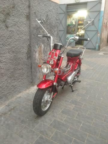 هوندا شالي CF50 - 2