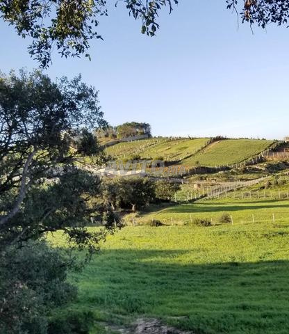 أرض للبيع 2600م² بطريق سيدي قنقوش - طنجة - 2