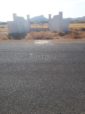 النعيمة. مدينة وجدة - 2