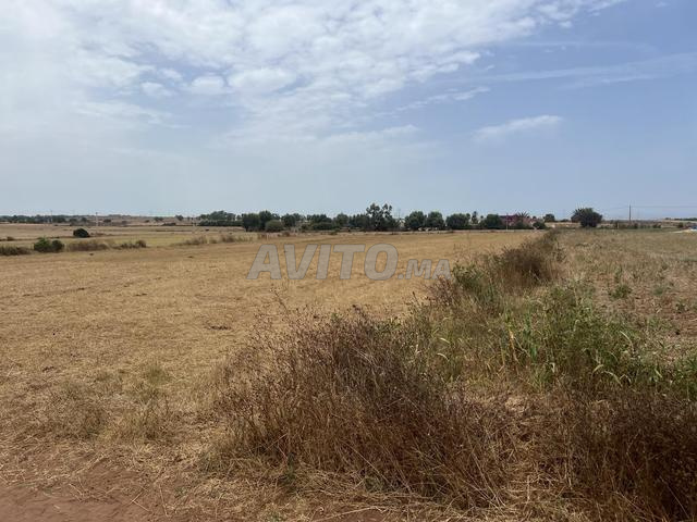 Terrain à Sidi Rahal, titre foncier, 7600m2