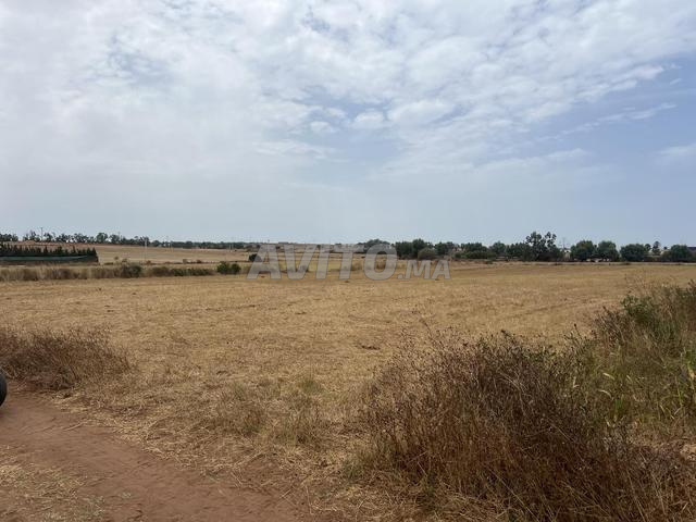 Terrain à Sidi Rahal, titre foncier, 7600m2 - 2