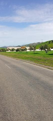 Hectare à vendre - 2