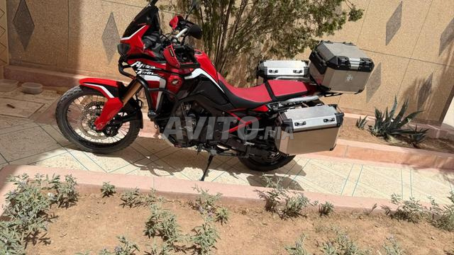 Africa Twin 1100 - 2