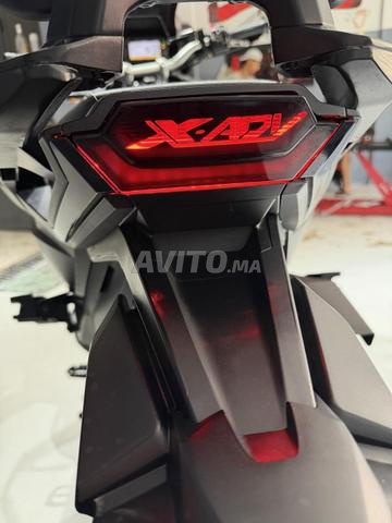 XADV كامل الخيارات - 2