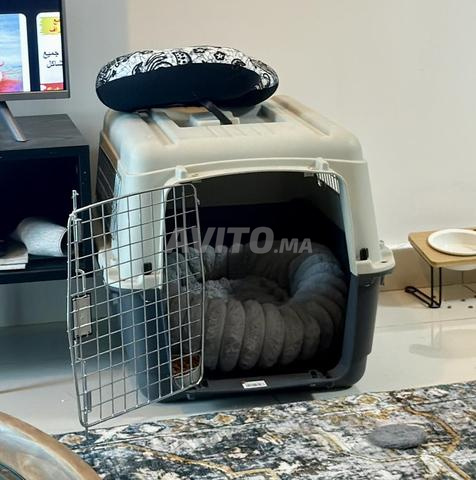 Cage certifiée voyage chat chien - 2
