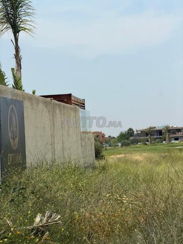 TERRAIN CONSTRUCTIBLE  أرض قابلة للبناء - 2
