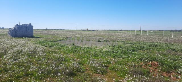 Terrain agricole 3 Hectare titre tiflet - 2