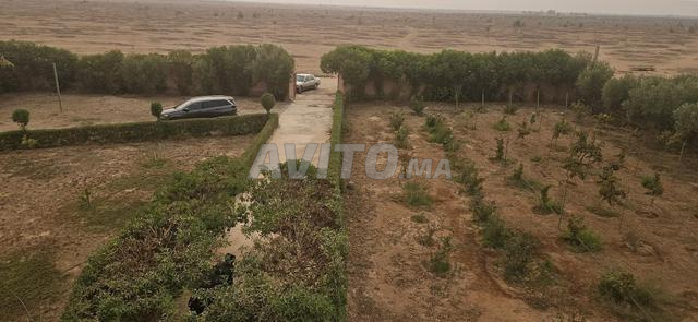 Ferme près de l'aéroport Oujda arrière