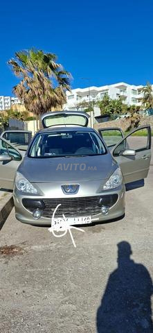 Peugeot 307 modèle 2006 - 2