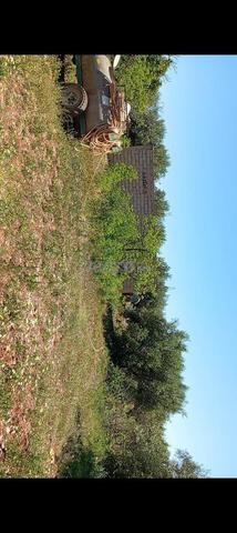 terrain 2 hectares