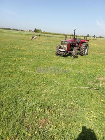 Tracteur agricole à pneus Massey Ferguson - 2