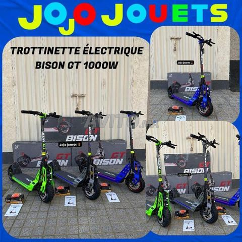 Trottinette électrique ⚡️ 1000W Bison GT Carbon