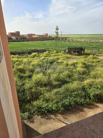 أرض للبيع نواحي مراكش - 2