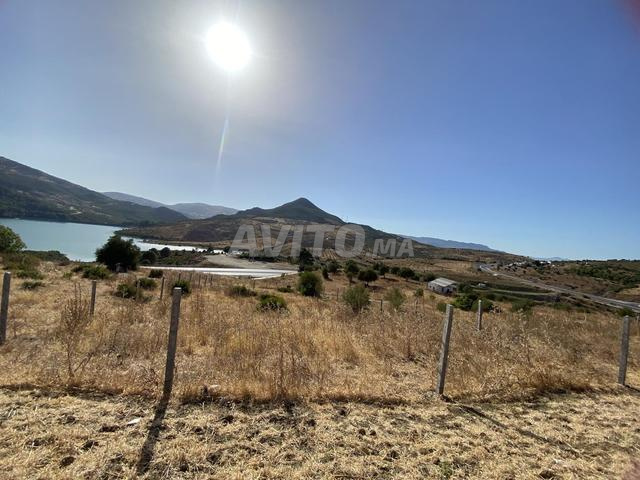 Tétouan Sed Nakhlah