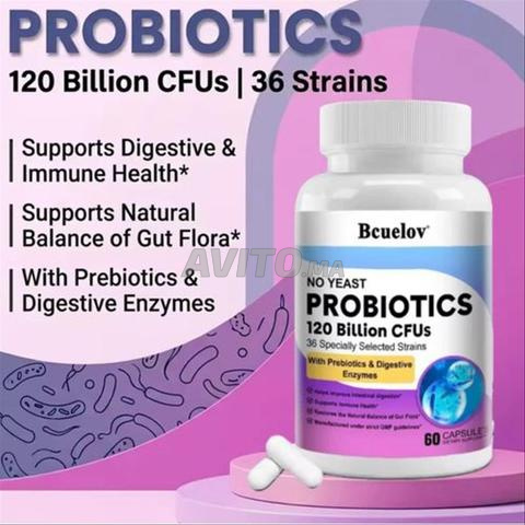 Probiotiques Haute Puissance 120 Milliards CFU - 2