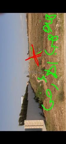 Terrain agricole 1ha Mssouar Rassou