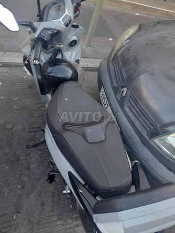 الجديدة/مراكش - 2