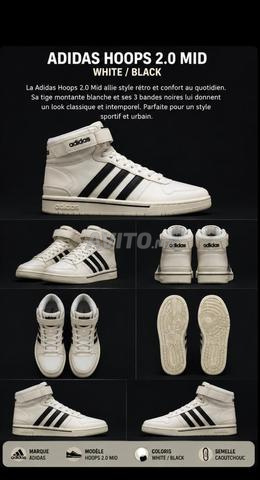 Adidas Hoops 2.0 Mid – Blanc / Noir - 2