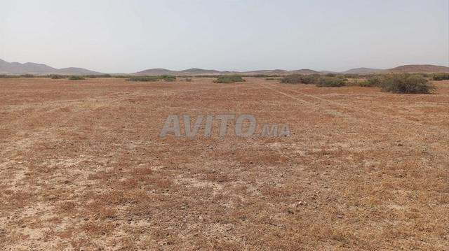 Terrain de 5 Hectares à vendre - 2