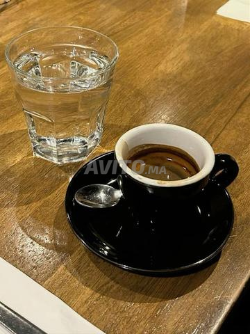 Café Arabica de qualité à Mohammedia ☕ - 2