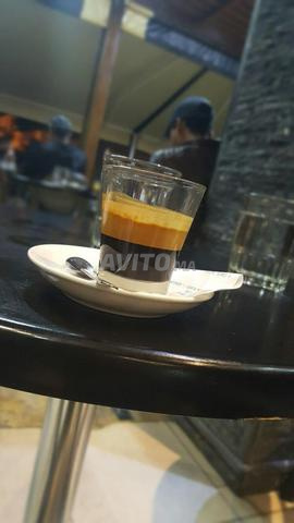 قهوة أرابيكا فاخرة بالرشيدية ☕ - 2