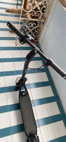 Trotinette ninebot - 2