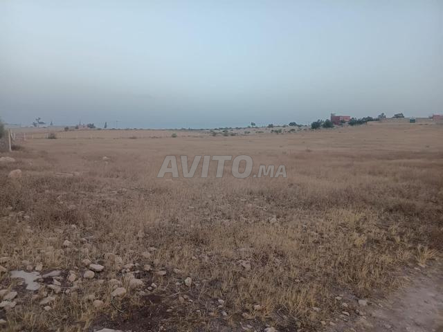 أرض فلاحية للبيع قرب آسفي - 2