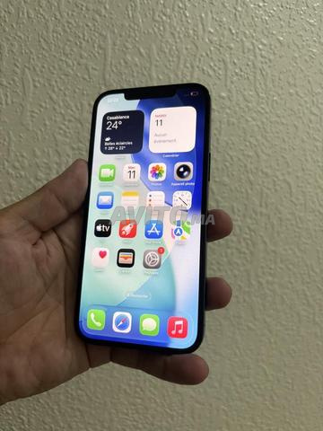 iPhone 12 Pro Max officiel 512/88 - 2