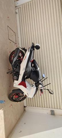 SH Daytona à vendre - 2