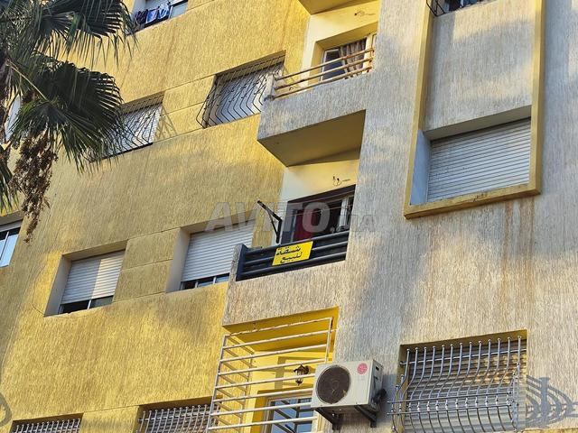 Appt 64m² Bd Résistance A Nassim - 2