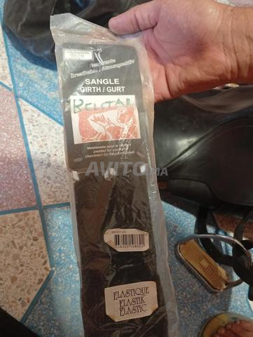 Selle anglaise à vendre - 2