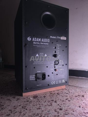 آدم أوديو T7V، UA Volt 176 - 2