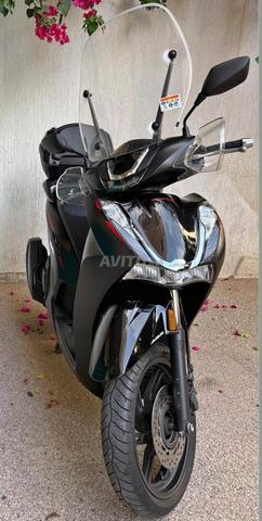 SH 350 modèle 24 DD 26 immatriculé Casa - 2