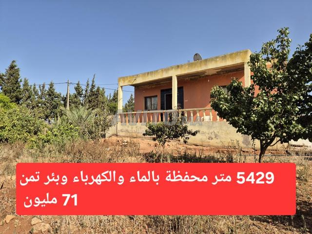 منزل محفظ بمساحة 5429 متر مربع