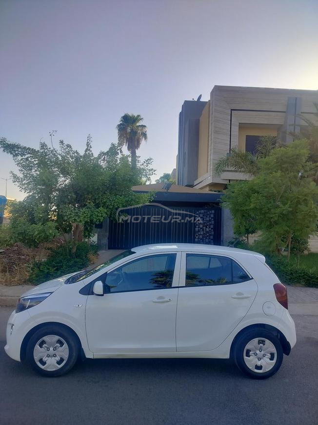 kya Picanto 