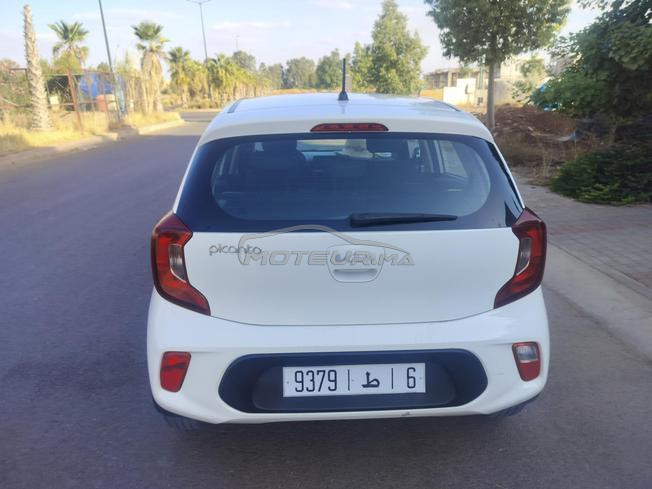 kya Picanto 