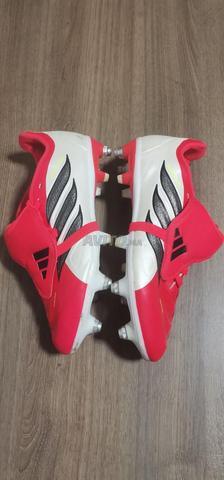 Predator 37 - 2