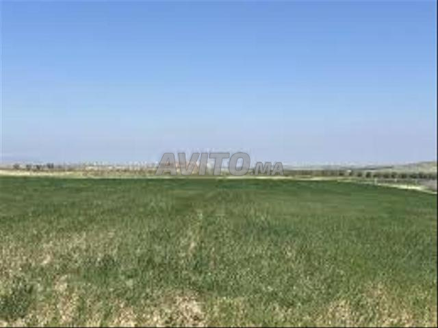 Vente de Terrains & Fermes Titrés – Bir Jdid - 2