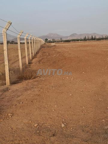 Terrain agricole titré à vendre Tiztoutine 9072m²