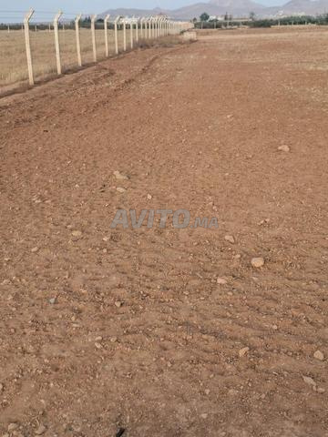 Terrain agricole titré à vendre Tiztoutine 9072m² - 2