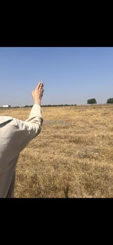 Terrain agricole dans la région de Ain Tizgha Benslimane
