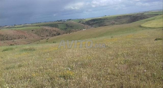 10 hectares environs Tiflet 12 millions hectare - 2