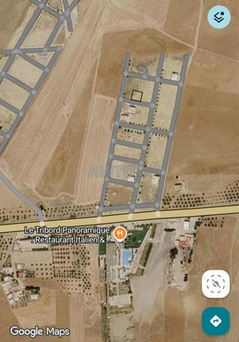 Terrain à vendre pour construire une villa 225m² Taza