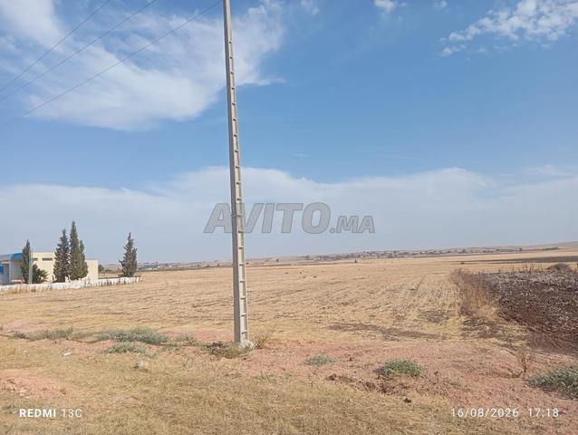 Terrain 3,5 HA titré Berrechid - 2